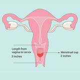 Premium Silicone Menstrual Cup